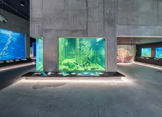 An aquarium in the middle of a large interior; the aquarium tank, walls and ceiling are made out of concrete.